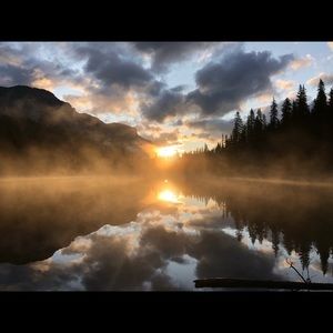 Meet your Posher, Ally